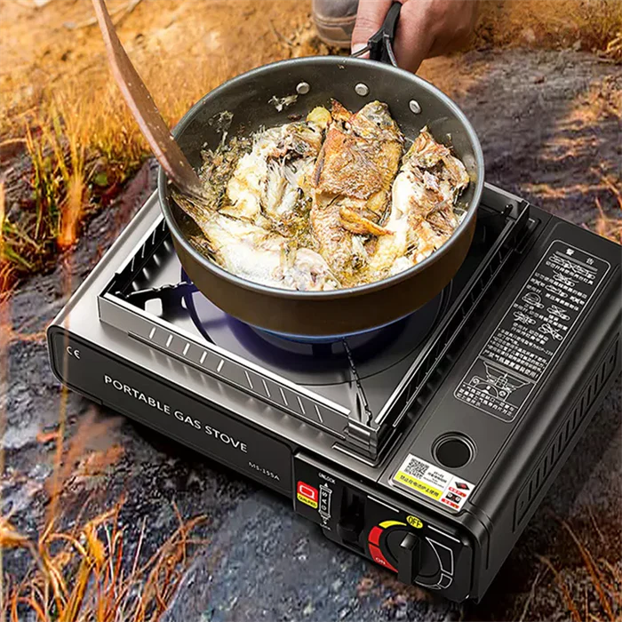 Portable Gas Stove with Carrying Case for Outdoor Camping, Hiking, Picnics