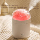 Eternal Flower Humidifier
